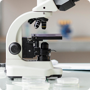Sponsor A Lab